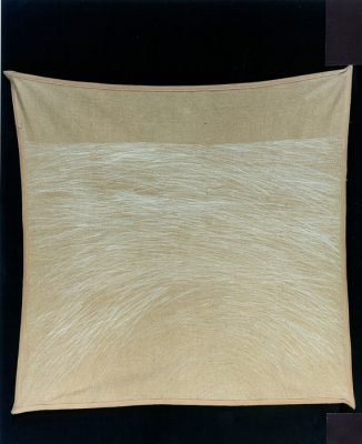Landschaft über Landschaft, 1995